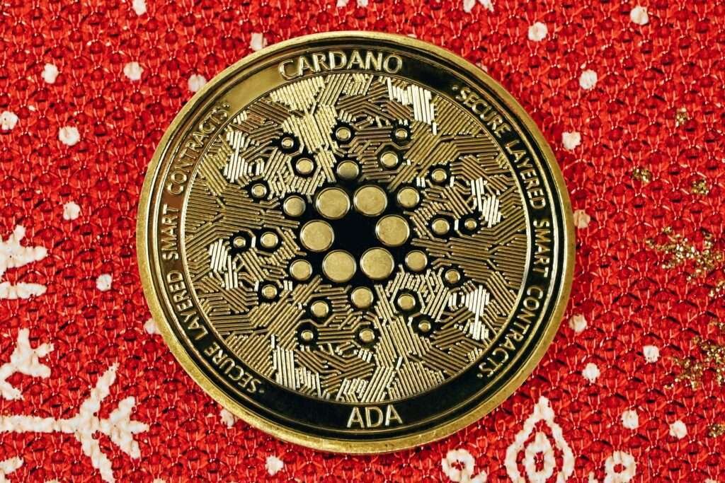 Cardano from Unsplash 1