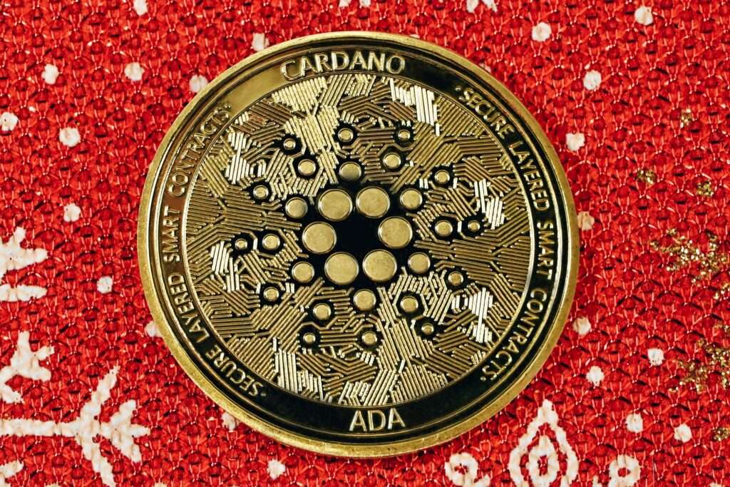 Cardano from Unsplash 1