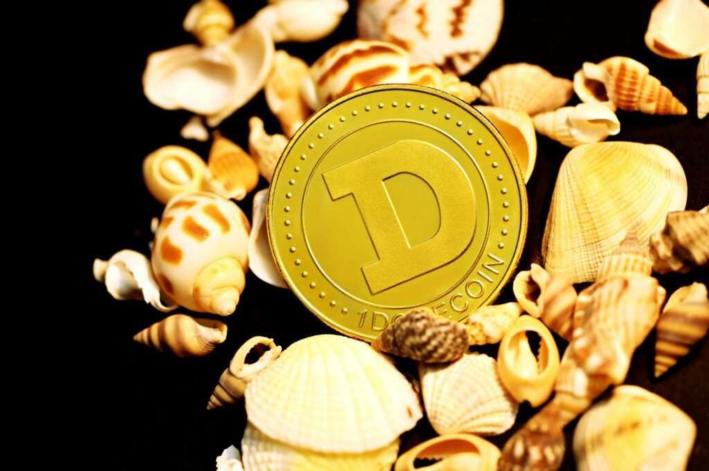 Dogecoin from Unsplash 60