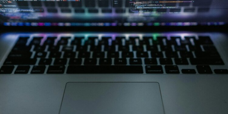 Notorious Bitcoin Hacker Released Years Early, Credits Trump