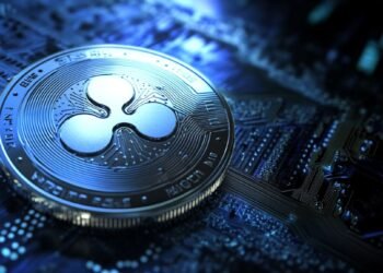 XRP Stages Comeback, Treasury Firm Doubles Down on XRPL