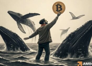 Record-low retail demand, B ETF flows: Is Bitcoin near a supercycle?