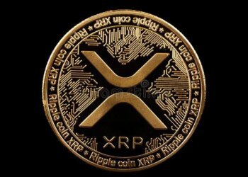 XRP Whale-Retail Spread On Binance Falls To 2024 Levels — What’s Happening?